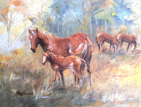 Tuan Forest Brumbies