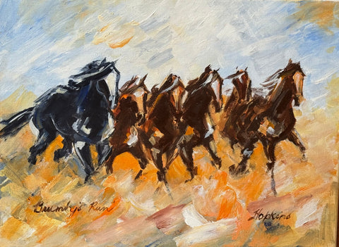 Brumby’s Run